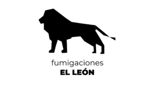 PORTAFOLIO QBM (13)