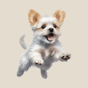 Mascota